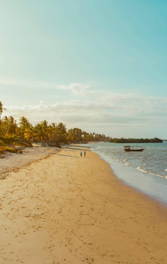Découvrez Zanzibar et la Tanzanie : Paradis Insulaires et Safaris Inoubliables