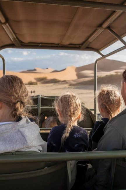 Safari en Namibie en famille : à la découverte des dunes, animaux sauvages et paysages grandioses