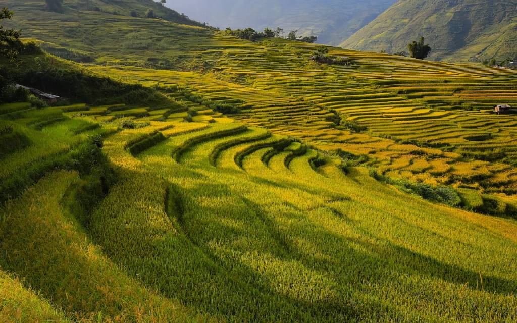 Voyage organisé au Vietnam : les avantages d’un circuit tout compris