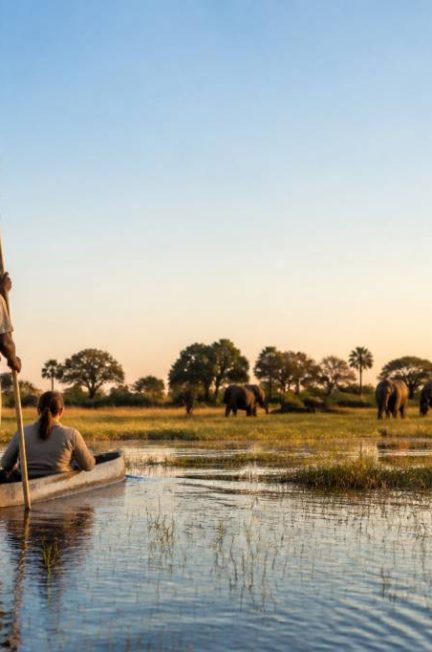Voyage Botswana : guide complet pour créer un itinéraire sur mesure avec Hors Pistes afrique australe