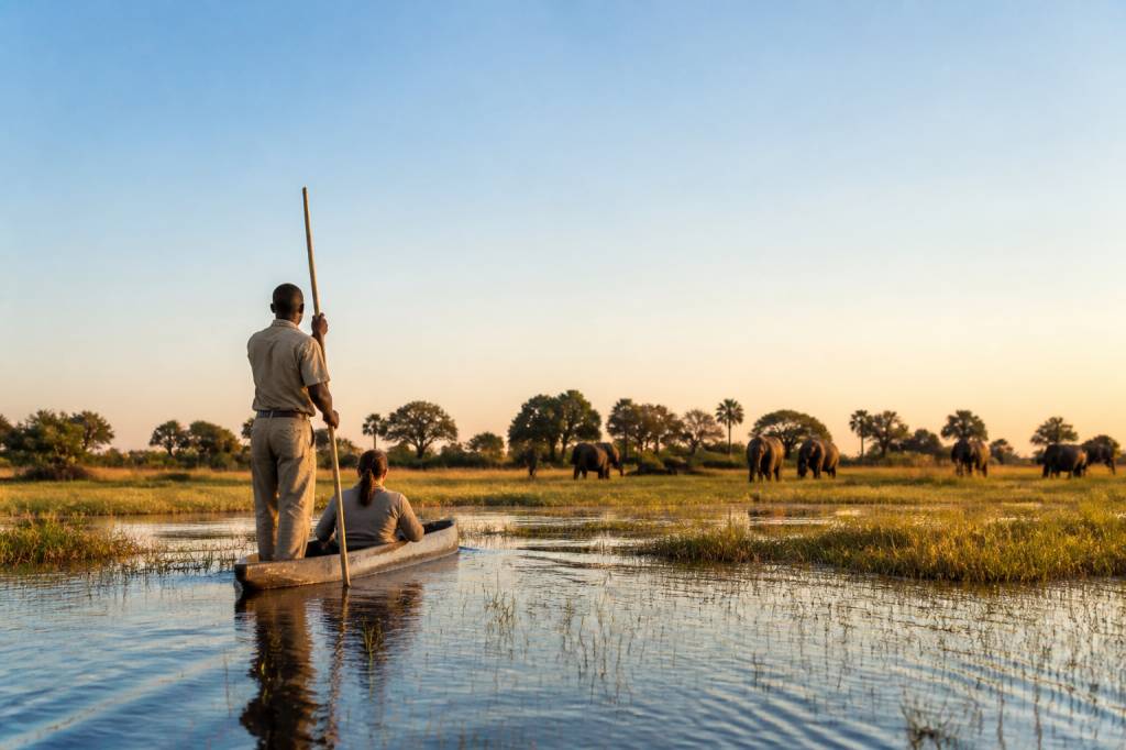 Voyage Botswana : guide complet pour créer un itinéraire sur mesure avec Hors Pistes afrique australe